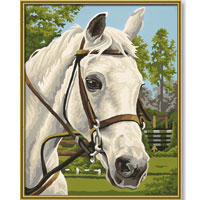 Белая лошадь. Раскраска по номерам, 24 см х 30 см